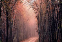 狗子28：罗马诺：切尔西中场霍尔已经在学习PFA体育总监课程.