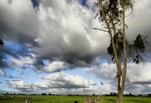 三节打卡!杰伦·格林17中9砍下33分&中间两节合计32分帮助球队终结悬念.